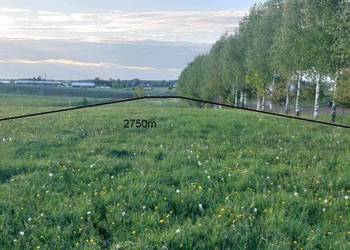 Sprzedam działkę położoną w Augustowie przy ul RAJGRODZKIEJ