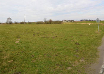 Działka 1400m2 Kozłówka