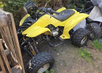 Quad Baschan 250