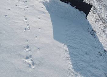 Sprzedam quada 650 2 cylindry przyczepka i spych do śniegu