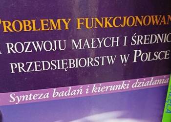 Problemy funkcjonowania rozwoju małych średnich książki okaz