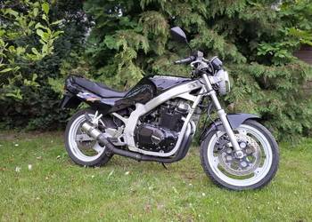 Suzuki GS 500e a2