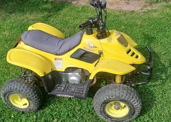 Quad Magnus Viper 70 okolice Miechowa