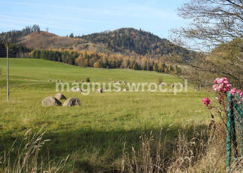 Działka budowlana z widokiem na góry w Boguszowie-Gorcach obręb Stary Lesi…
