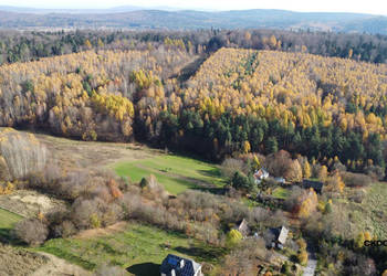 Działka inwestycyjna Cisów 22 500 m²