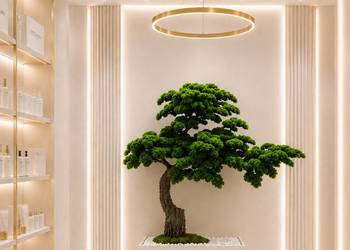 Sztuczne drzewko bonsai 165 x 200 cm - nowoczesna dekoracja pod schody / d…