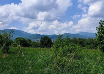 Działka Lipowa 9275m2