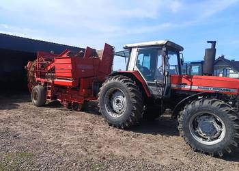 Massey Ferguson 3650