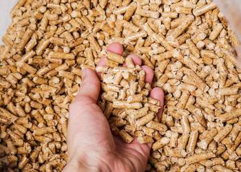 Pellet drzewny - worek 15 kg