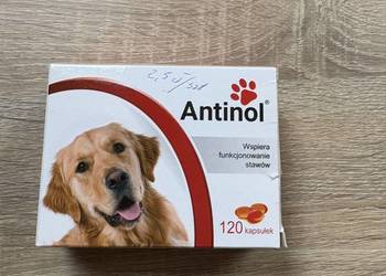 Antinol 120 kapsułek w opakowaniu