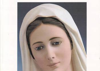 Drogie dzieci, dziękuję - Zorza Drogie dzieci, dziękuję - Zorza