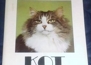 Mój kot - Aleksandra Konarska-Szubska