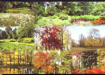 Kart. Pocz. Zabrze Widok Ogrodu Botanicz.  ** Kart. Pocz. Zabrze Widok Ogrodu Botanicz.  **