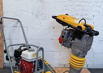 zagęszczarka wynajem