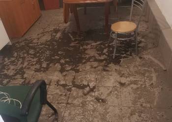 Odgrzybianie ścian Nowogard - Vector Usługi - Usuwanie grzybów i pleśni