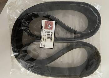 Pasek 4288688m1 napędu pompy Massey Ferguson ORG AGCO
