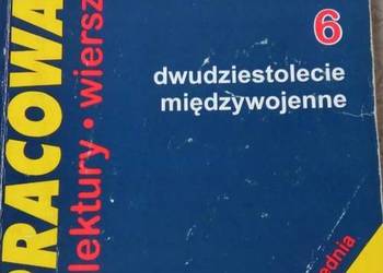 Barok oświecenie opracowania lektury wiersze Dorota Stopka