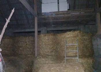 Sprzedam słome w belach