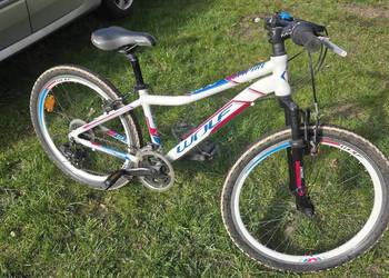 Rower dziecięcy WOLF EMPIRE koła 24