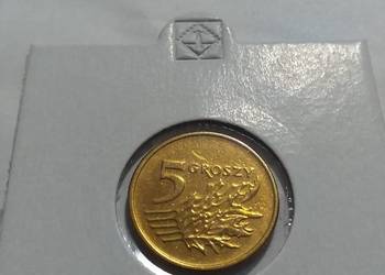 5 gr 1993