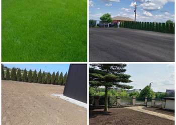 GLEBOGRYZARKA KŁOCZEW powiat rycki