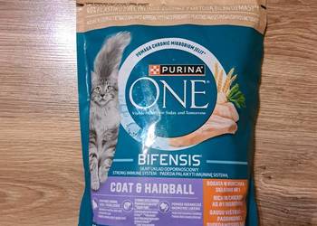 Sucha karma dla kota