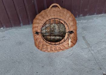 transporter wiklinowy / 378