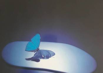 MIKE OLDFIELD- Platinium  1979 .