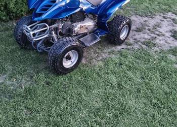 Bashan 150