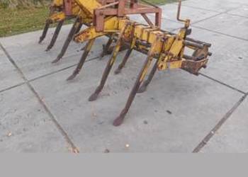 Głębosz bezorkowiec Rumptstad z wałem