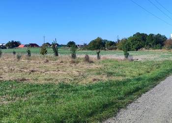 Działka rolna 17 ar, Taczalin, gm. Legnickie Pole
