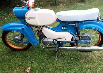 Simson sperber