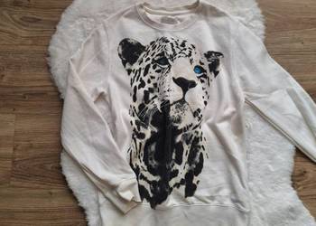 Dziecięca biała bluza z gepardem Zara boys dla chłopca dziewczynki