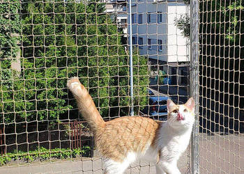 Montaż siatki dla kota na balkon