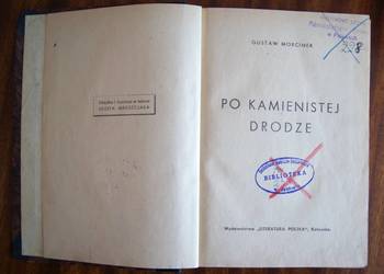 Gustaw Morcinek - Po kamienistej drodze