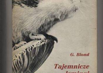 Tajemnicze lemingi - Blond