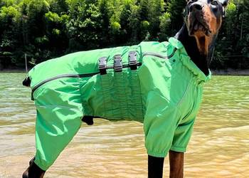 Kurteczka lovelonglong czerwony xl