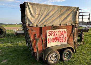 Przyczepa do przewozu koni bydła zwierząt bocmanne
