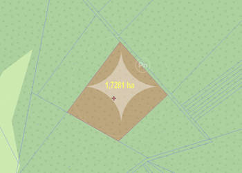 Działki leśne do sprzedaży Mokre gm. Rossosz