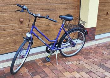 Rower capriolo sportiv