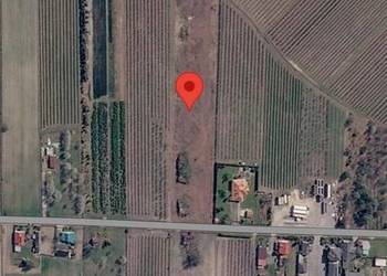 Działka 12800 m2 rolno budowlana Karolew