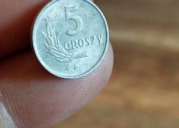 Sprzedam 5 groszy 1971 r