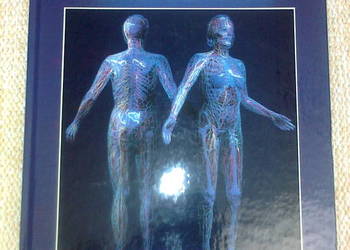 Die faszinierende Welt der ANATOMIE