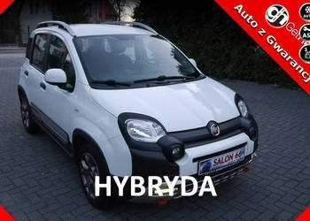 Fiat Panda Cross Hybryda Stan Idealny 100%bezwypadkowy z Niemiec Gwarancja…