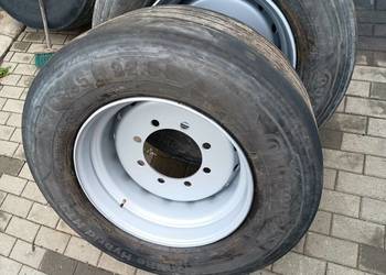 Koło, koła bezdętkowe do przyczepy D55 na 8 otworów
