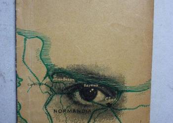 NORMANDZKA SIEĆ - MICHAŁ OLKIEWICZ