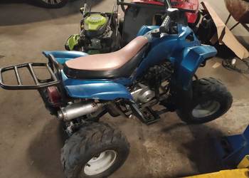 Quad 110 cm.