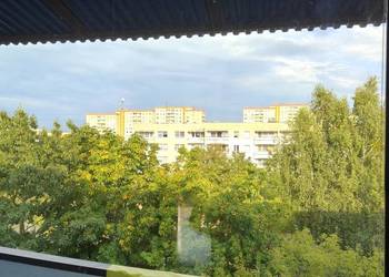 słoneczne, przestronne, w doskonałej lokalizacji