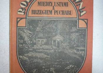 MIĘDZY USTAMI A BRZEGIEM PUCHARU - RODZIEWICZÓWNA MARIA