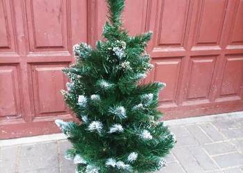 Sprzedam Choinke ladna wysokosc-37 -cena -120zl